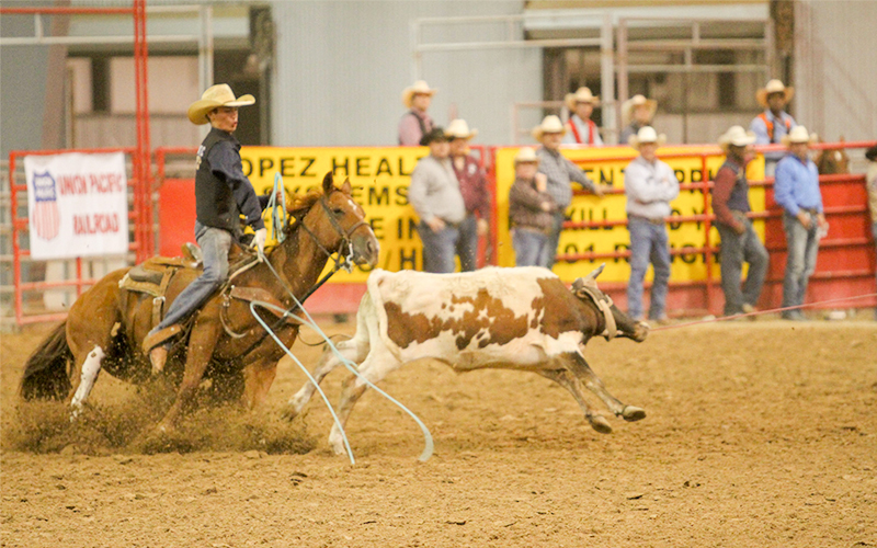 June 2019 Extreme Team News, Official News of Texas High School and Junior  High Rodeo by Texas High School Rodeo, Extreme Team News - Issuu